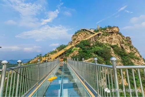 葫芦岛木栈道爆料最新消息,工程进度揭秘,美景即将呈现 第1张 葫芦岛木栈道爆料最新消息,工程进度揭秘,美景即将呈现 第1张